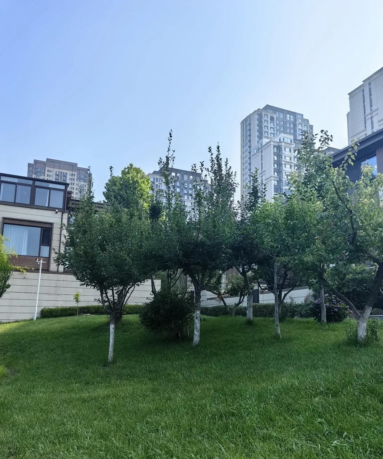 我和老伴靠退休金生活，出身贫寒，养成了省吃俭用、小小气气的习惯。一年多的时间，
