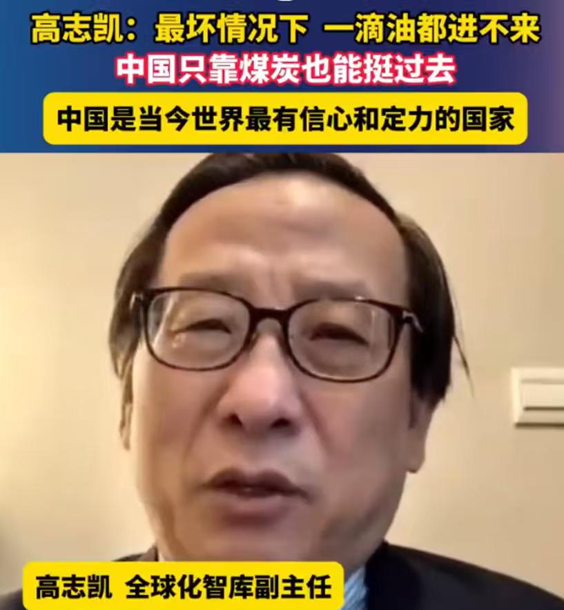 高志凯一番话，给我们吃了一颗“定心丸”！近日，国内专家高志凯教授表示：在最坏情况