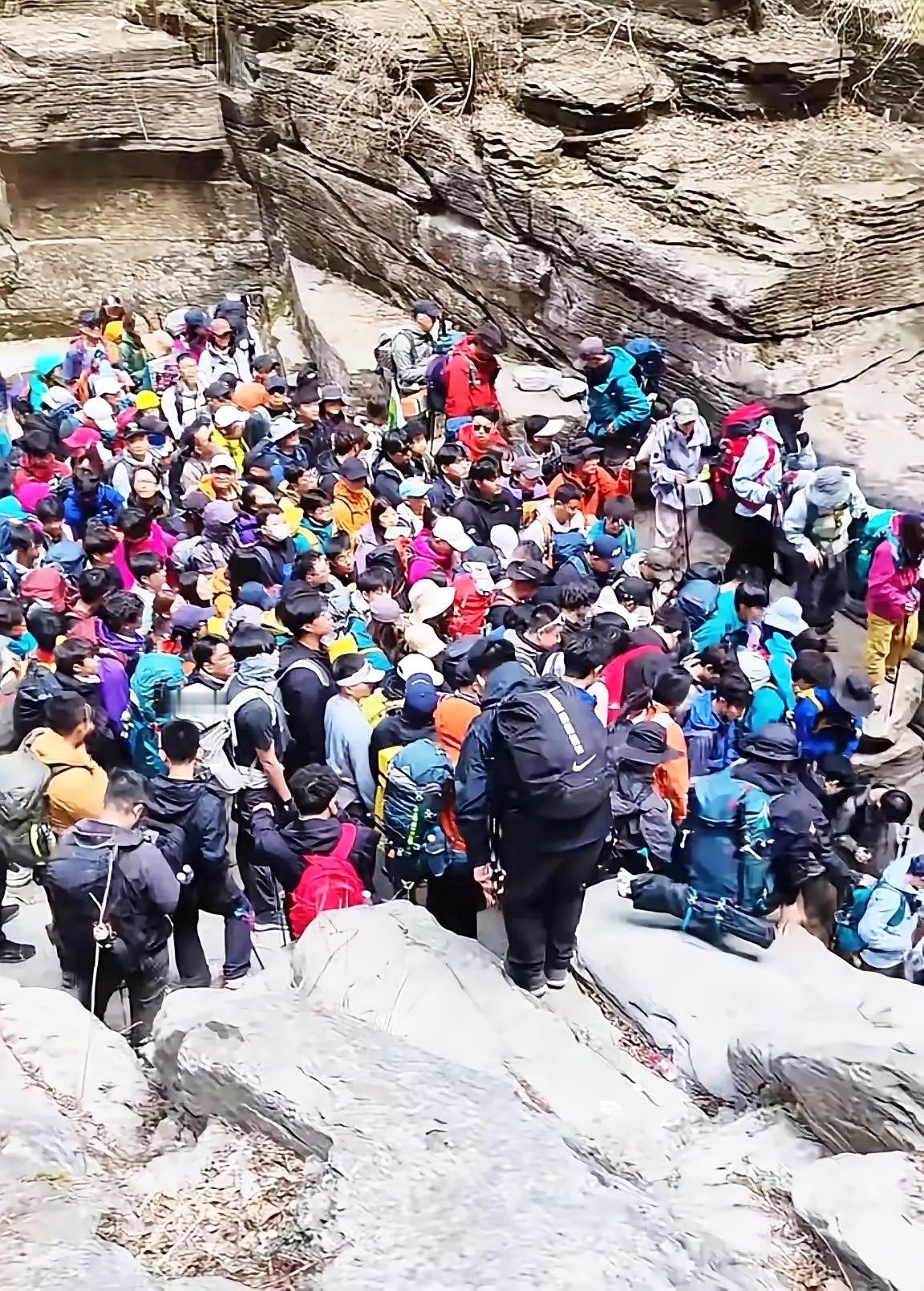 刚被朋友科普了“小短腿”，直接一脸懵，感觉自己跟当下的怪事彻底脱轨了！现在咋