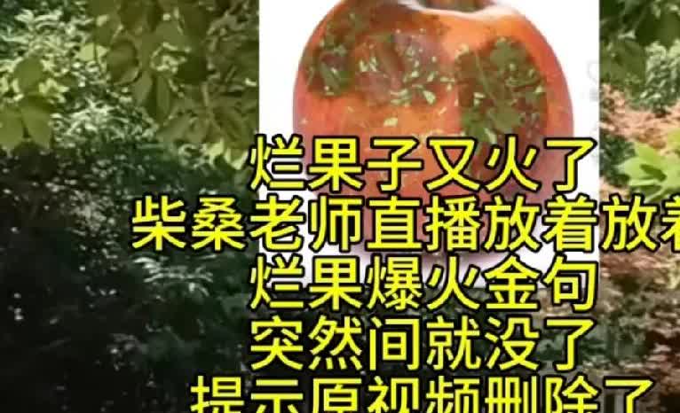烂果子太狂妄了，柴桑大姐今天非常气愤呀，因为九江的不作为啊，看那个烂东西啊，说的
