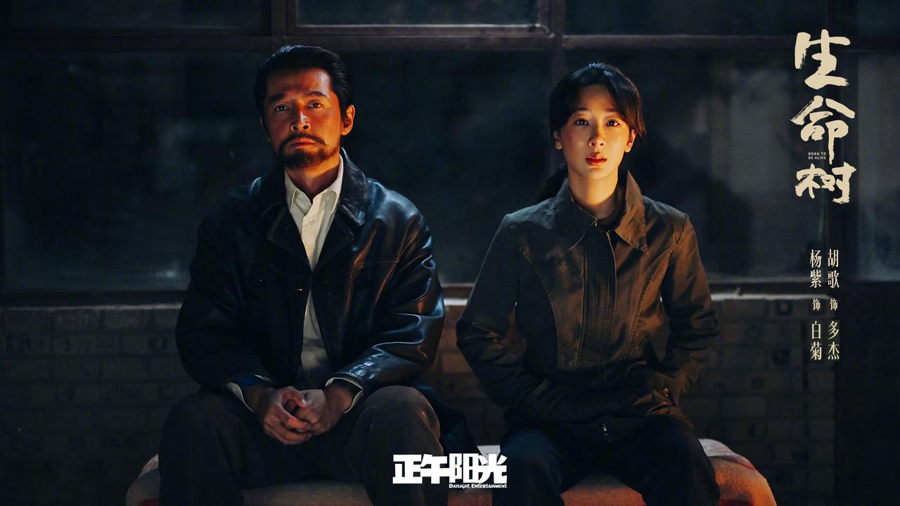 从拘谨客套到随心打趣，胡歌道出杨紫难得的人格魅力胡歌说：“有一天我在现场，我就