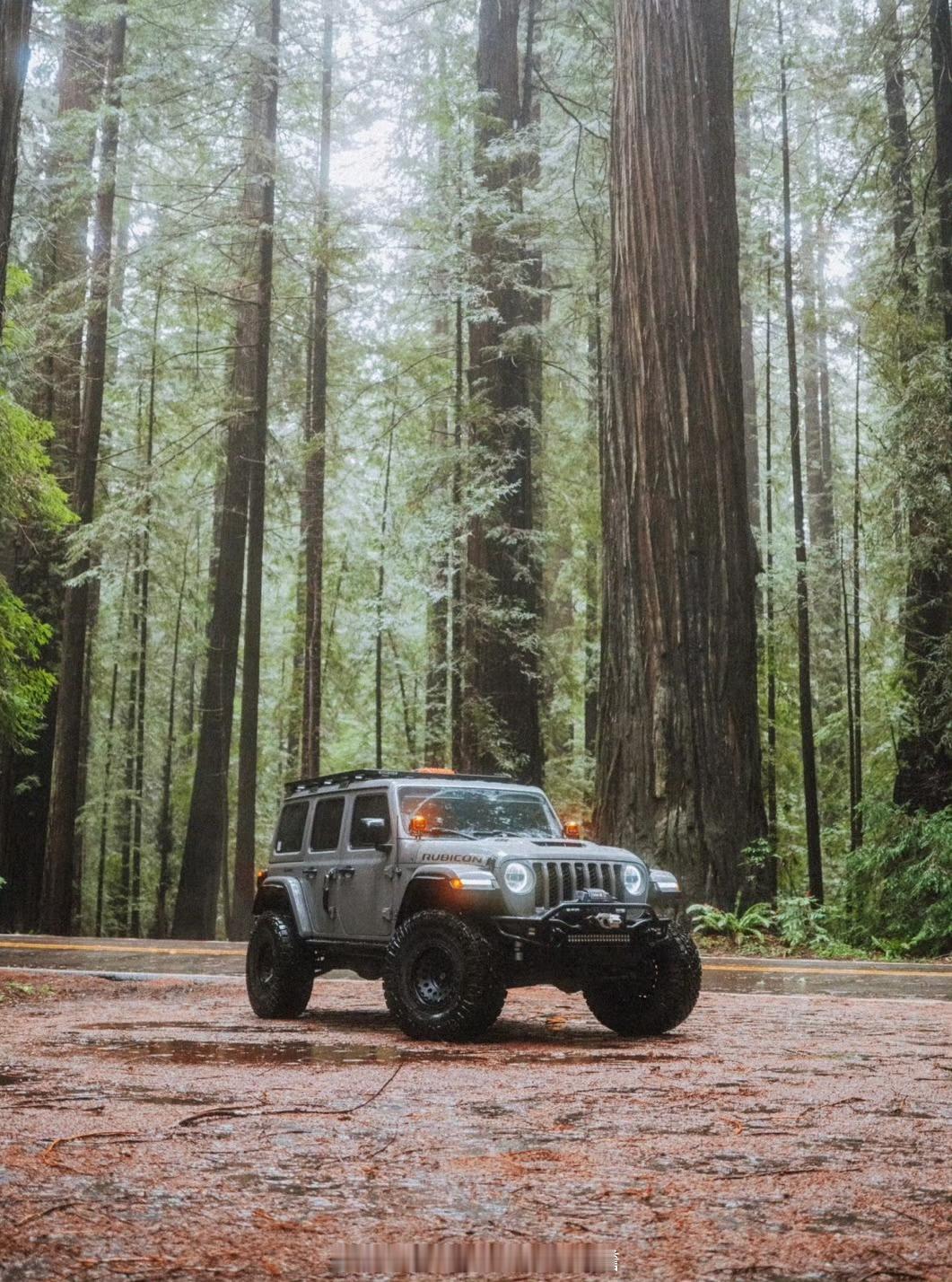 5个牛市中的“保命建议”第一，别把赚钱当成自己的本事。行情一好，随便买都涨，很容