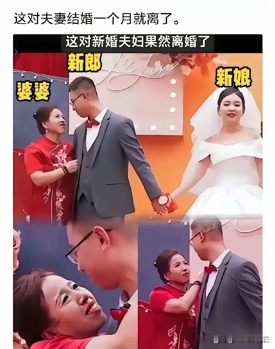 老天呐，惊呆了啊！[捂脸哭][捂脸哭][捂脸哭]