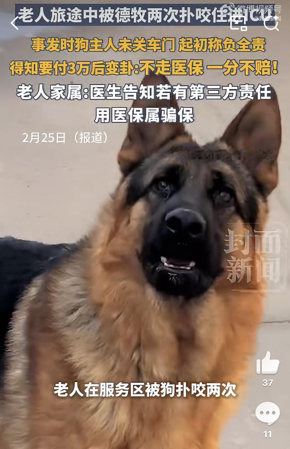 老人被狗咬进ICU犬主要求走医保：狗主人要承担什么法律责任？ 老人被狗咬进I