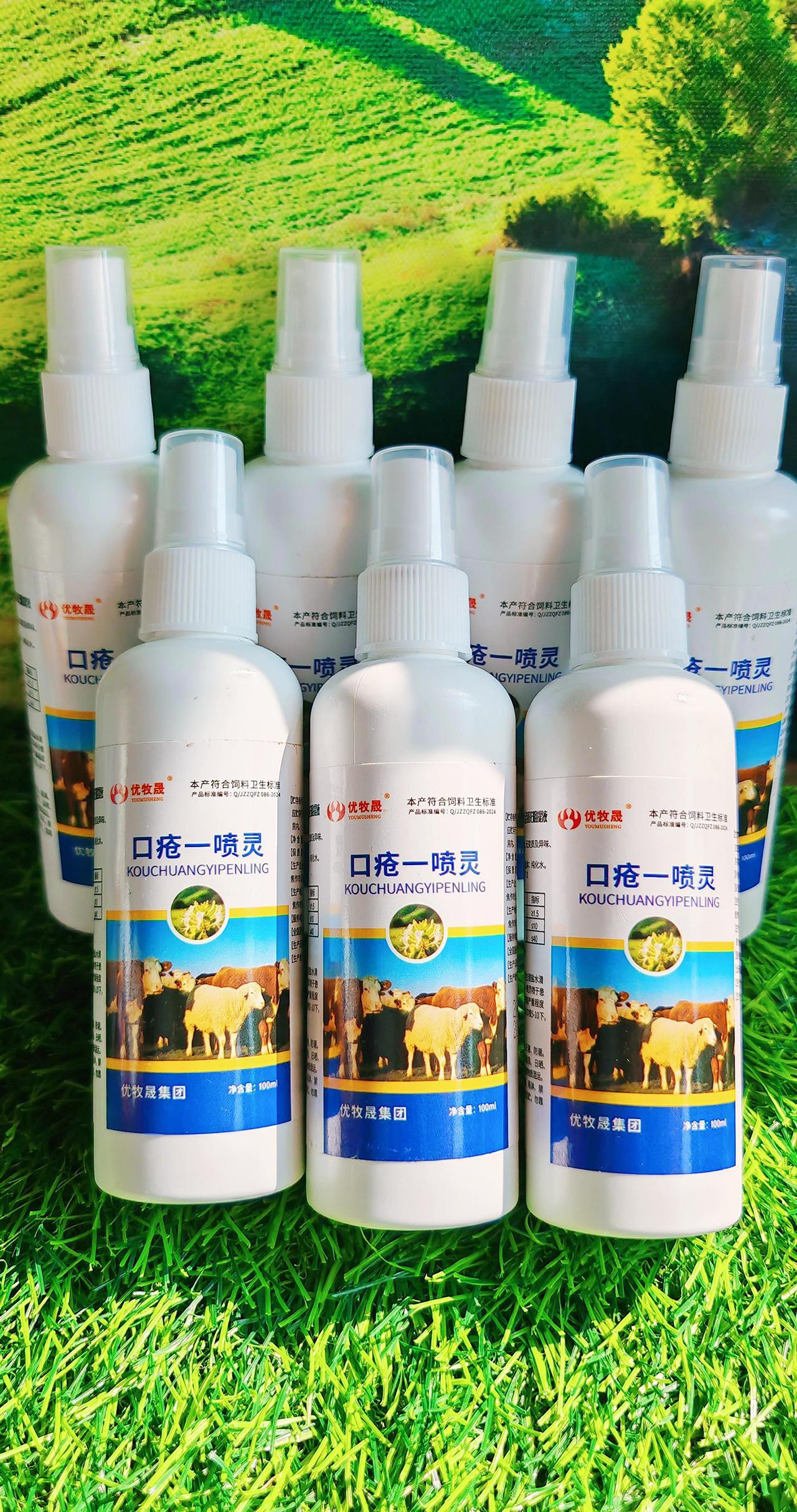 养羊人农村养羊牛羊养殖