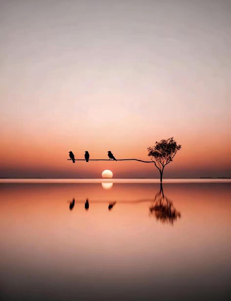 刚刚刷到一则新闻，看了让人汗毛倒竖啊！内蒙古有个牧场老板养了11条狗，其中6