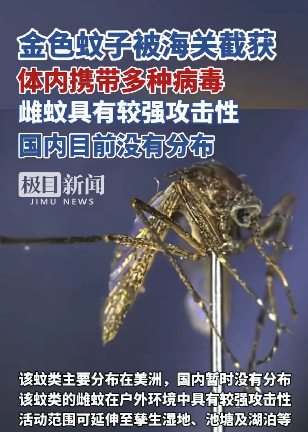 这次金色蚊子被截获，有时候想想真是可怕！正常人谁会把这种携带多种病毒并且攻击