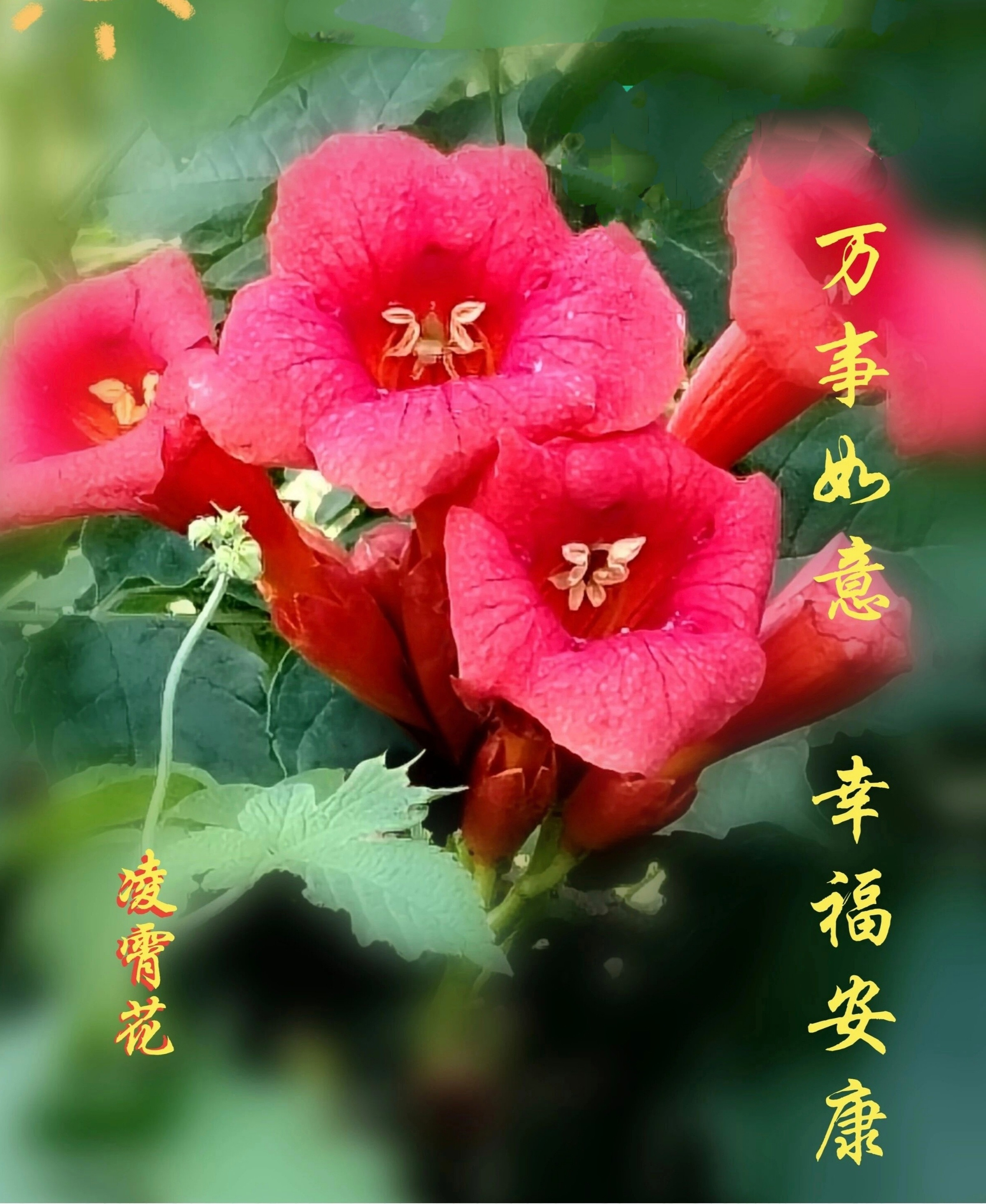 【健康养生】1）中医认为，按五行规律，夏天心火旺而肺金、肾水虚衰，要注意补养肺肾