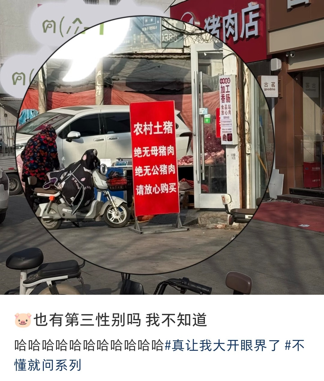 原来骟掉的🐷是第三性别