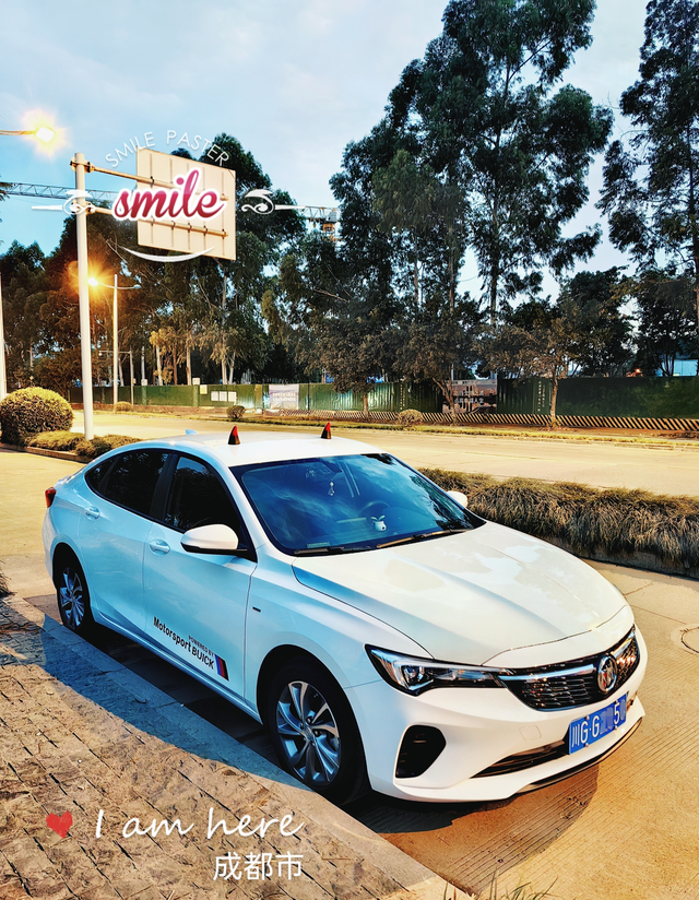 威朗pro油耗动力都不错乐逸版本的，最低配版，买了快2年了，目前4万多公里，期