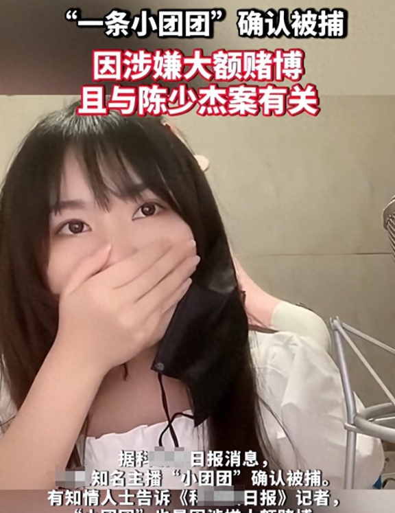网红<em>一条小团团</em>被捕揭秘，年入3亿竟交不起罚金？内情令人咋舌！