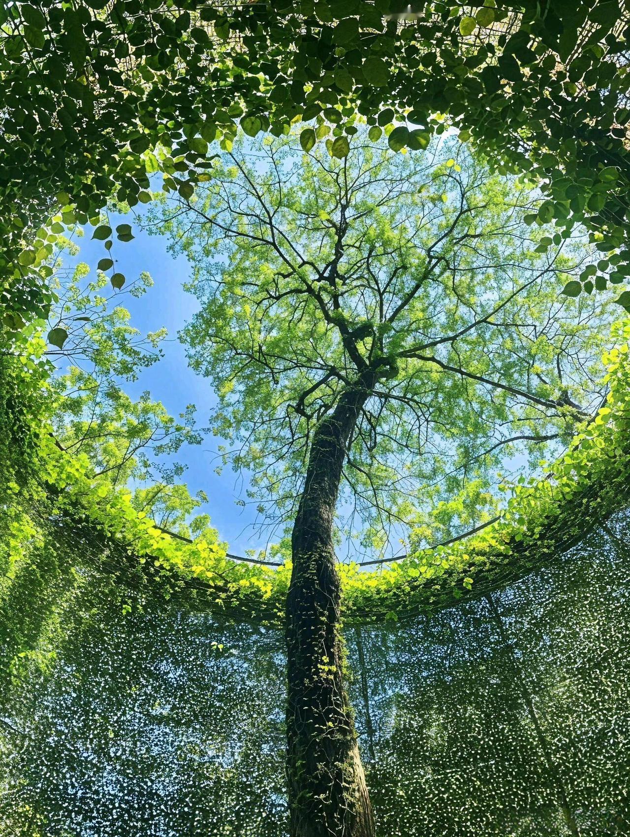 大家认同吗？我有个朋友非常了不起，一个闺女，老公很能挣钱，外面又找了一个，经常
