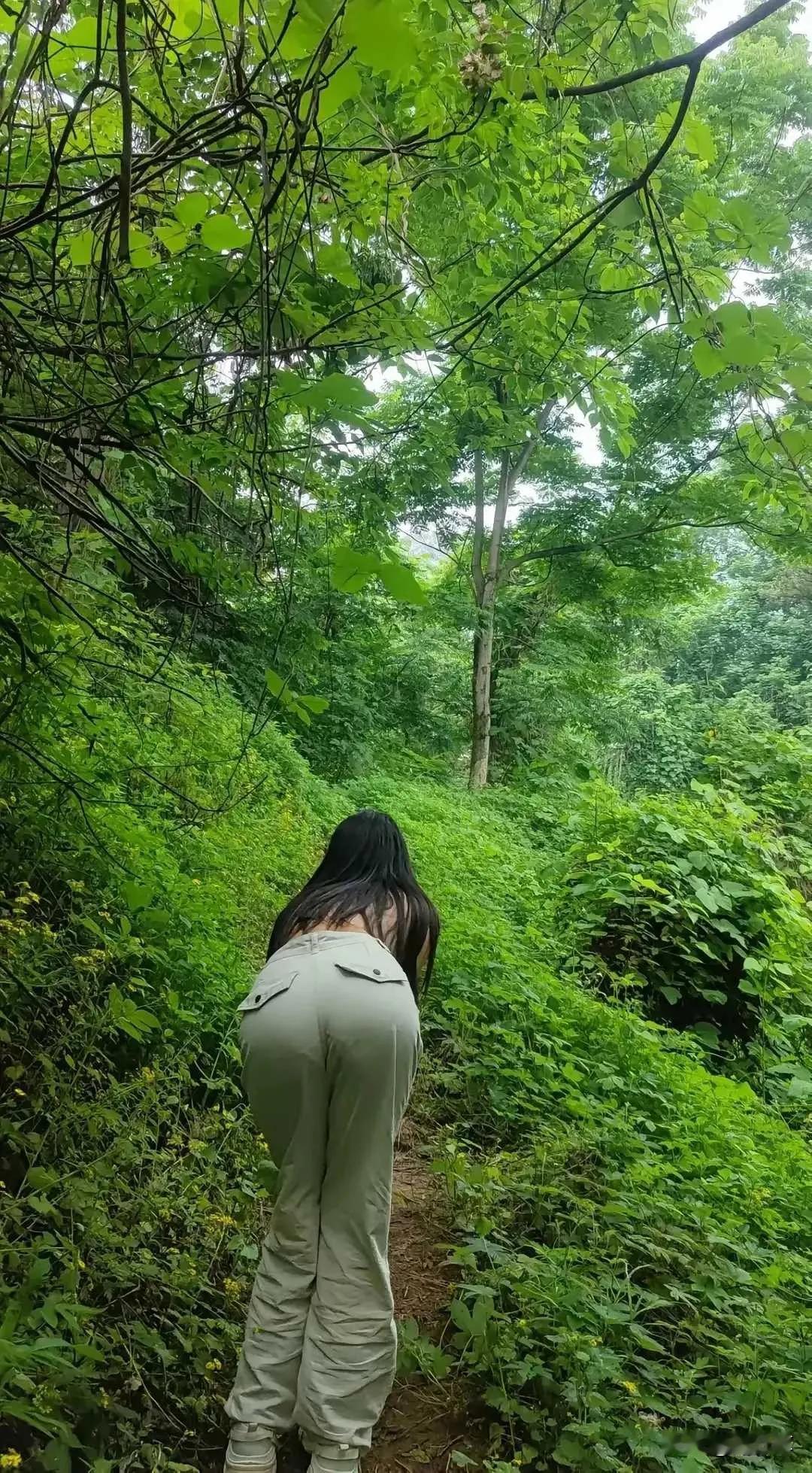 绿树掩映小径长，行至深处见仙乡。