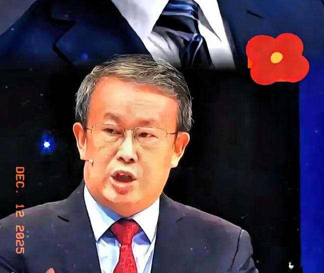 细思极恐，脊背一阵发凉王成院长说自己提的立法建议全是为了国家利益，可项立刚就