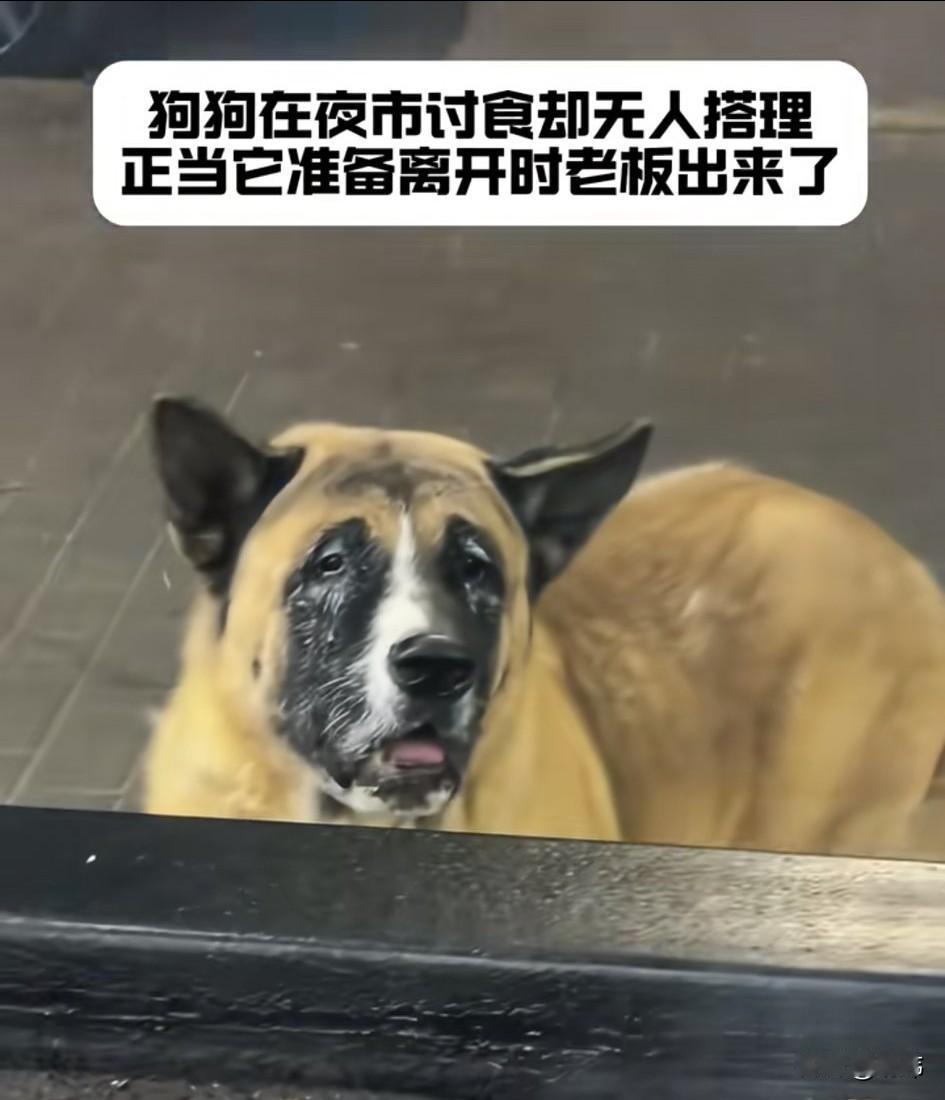 一位小哥哥在夜市开了一家夜宵摊，平时生意还不错，这天夜里，他和往常一样在忙碌，这