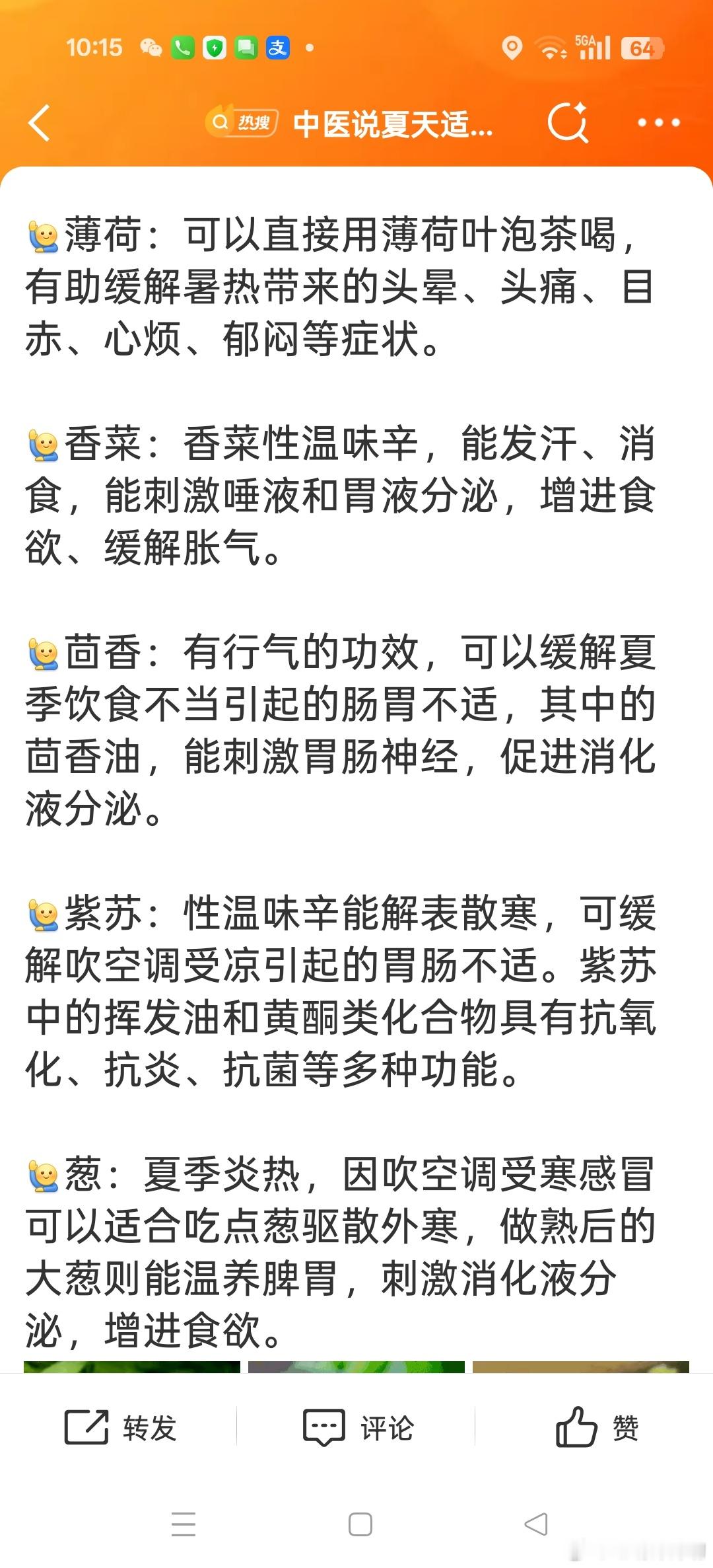 中医说夏天适合吃带香气的食物紫苏是个好东西！凉拌紫苏，炸紫苏，煮鱼的时候放几片，