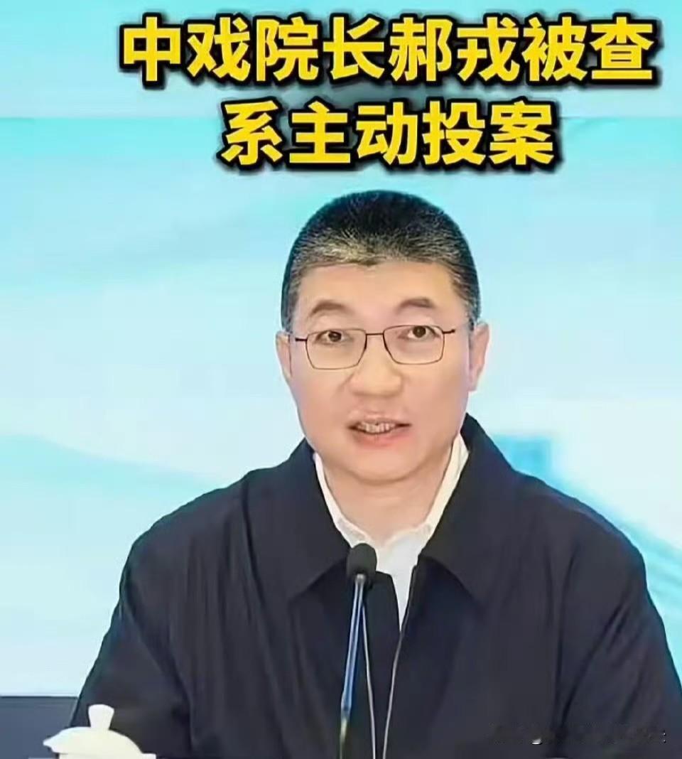 郝戎出事，最难受的就是我发小了！她闺女为了考中戏，整整复读了两年。发小家庭条