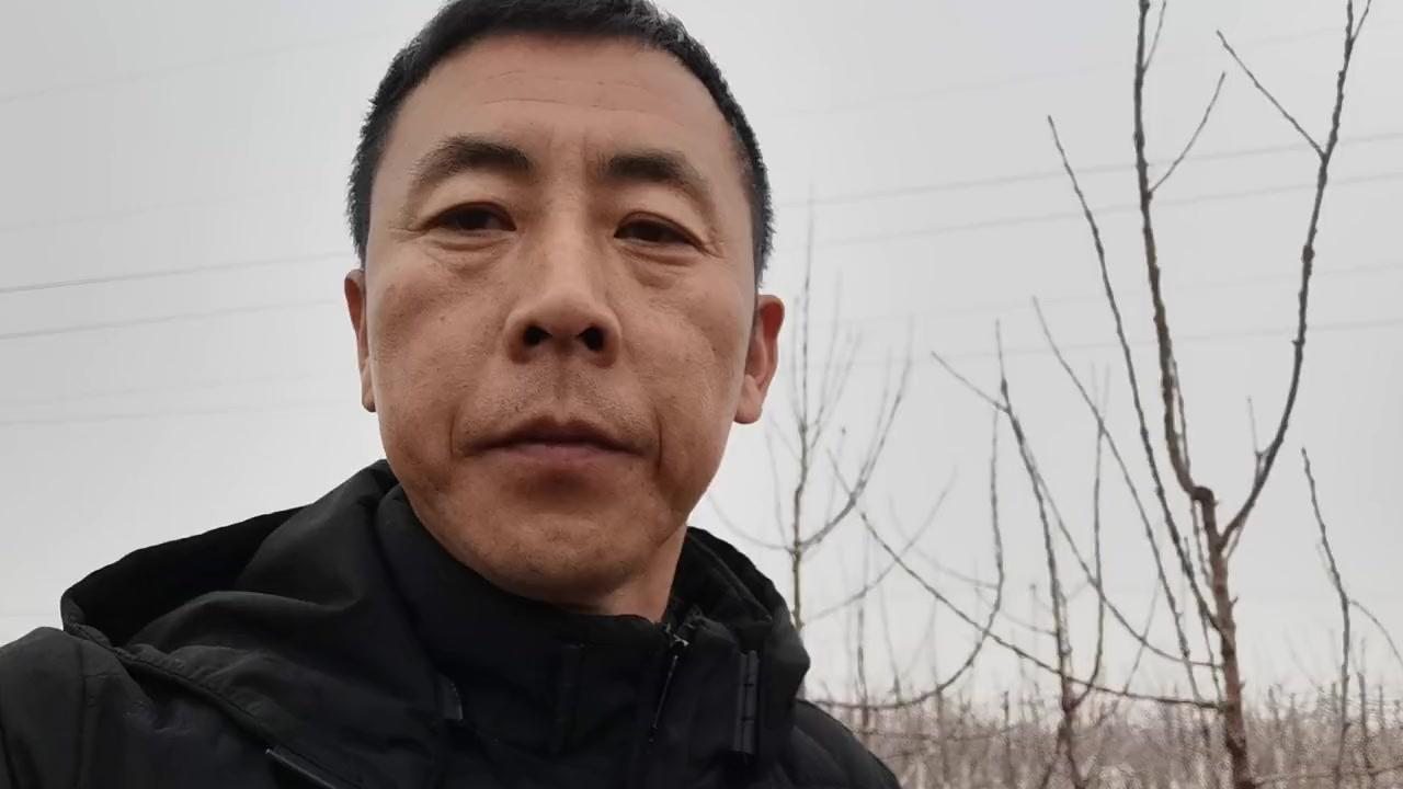 🍒大樱桃种植时间怎么选？南北差异这样记：南方秋栽更适宜：树体落叶后，11月下