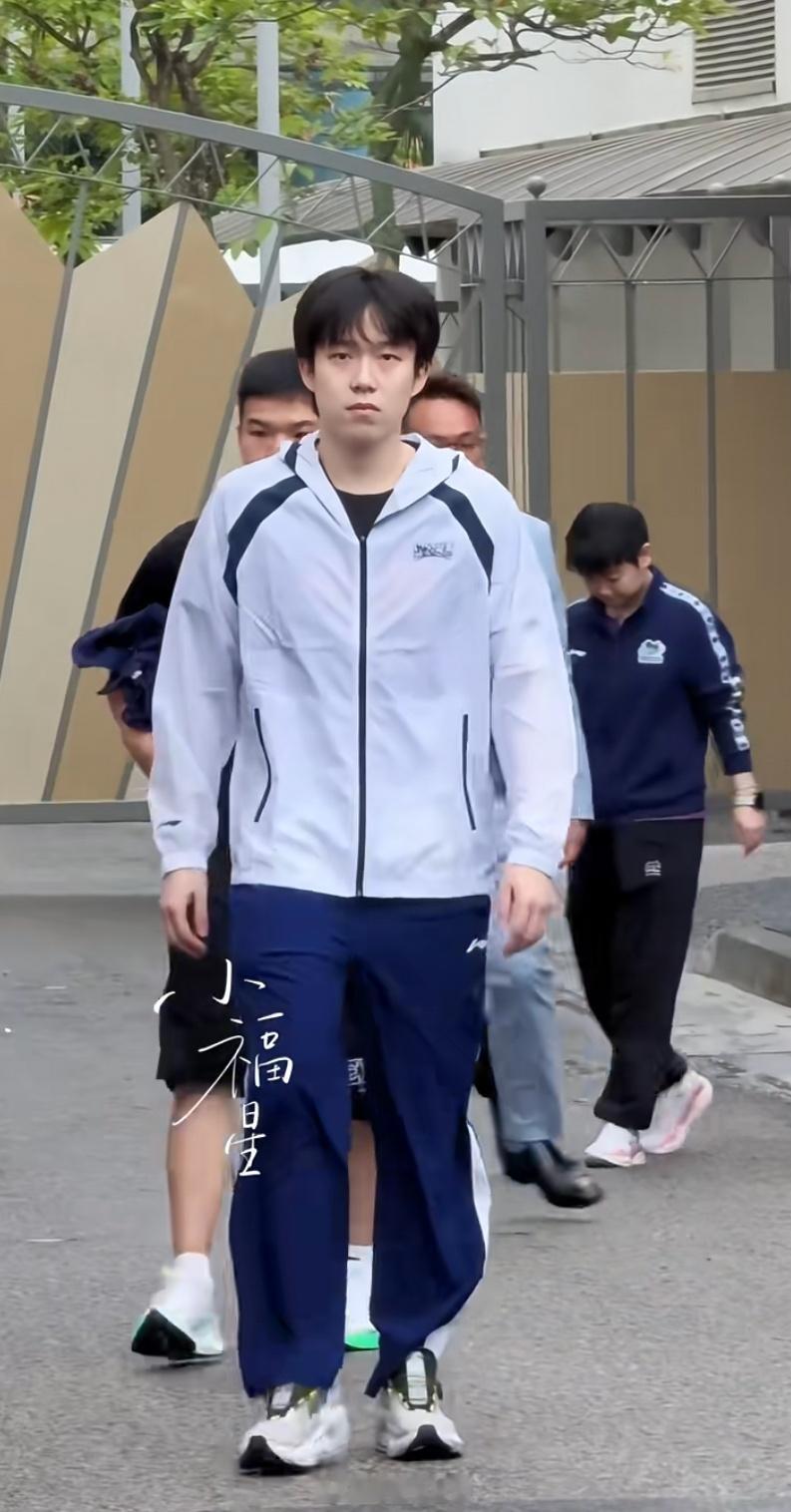 感觉耶剪回顺毛之后看起来更乖了