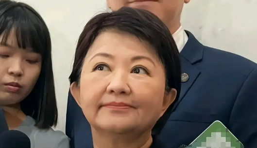 因为务实、亲民，台中市长卢秀燕被称为“妈妈市长”，在国民党党内甚至整个湾湾的热度