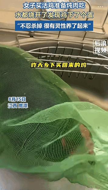 万物皆有灵性！江西鹰潭，女子买了只活鸡准备炖肉吃，结果当准备杀鸡吃的时候，发现鸡
