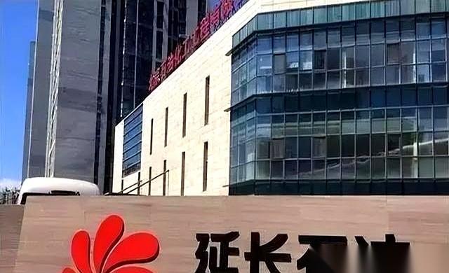 我跟你说个事儿，你听听有多离谱。有人，想把延长石油当个普通公司给“优化”了，算