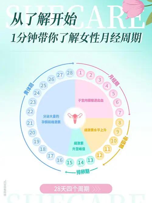 “月经21天vs35天，谁老得更快？”——别被伪科学吓哭，真相比你想的更带感