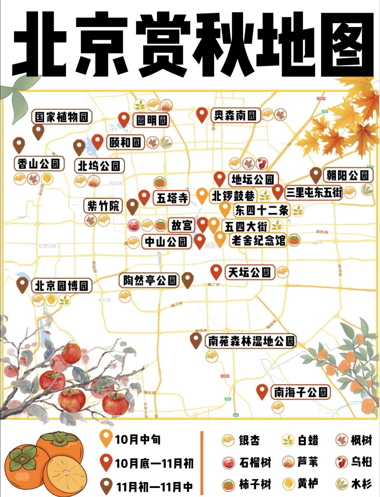 北京赏秋地图🍂|10月-11月，带您解锁北京的秋日美景🍁🍂🍂