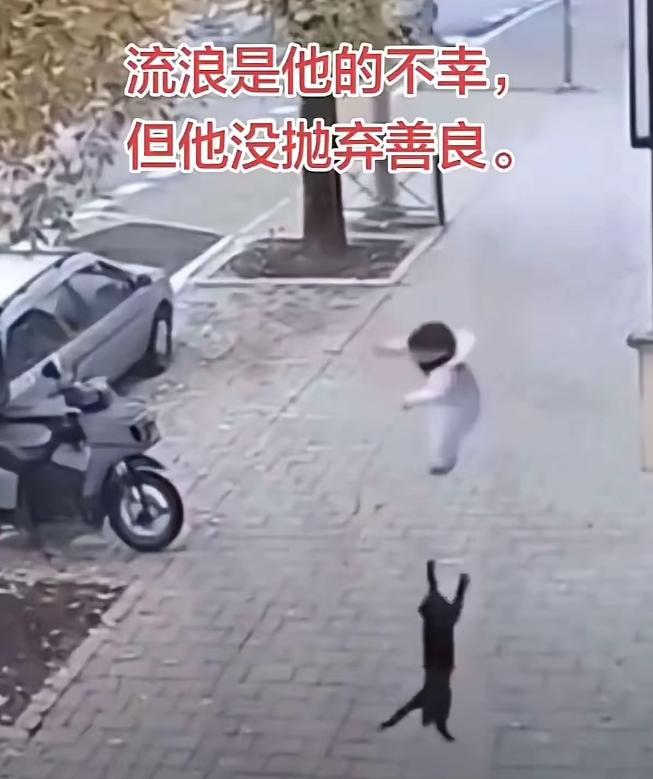 万物皆有灵！浙江杭州，一名三岁宝宝在阳台玩耍，结果大人一个疏忽，孩子突然从阳台掉