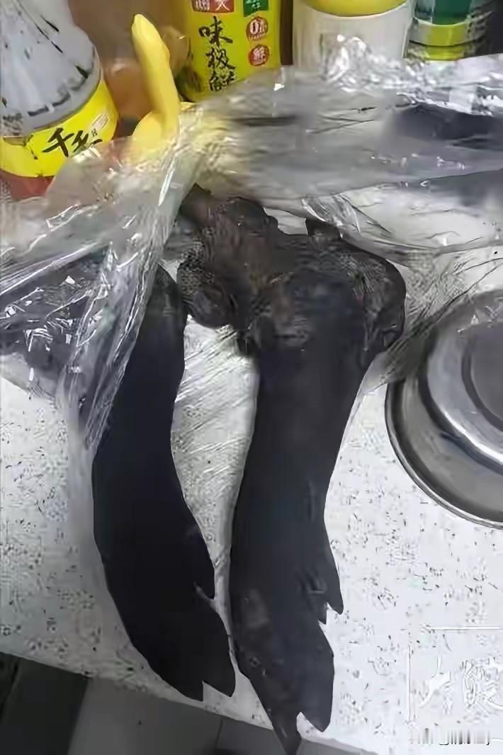 成都的这位妈妈万一也没想到就因为一块烟熏腊猪蹄，竟然夺走了10岁儿子的性命！