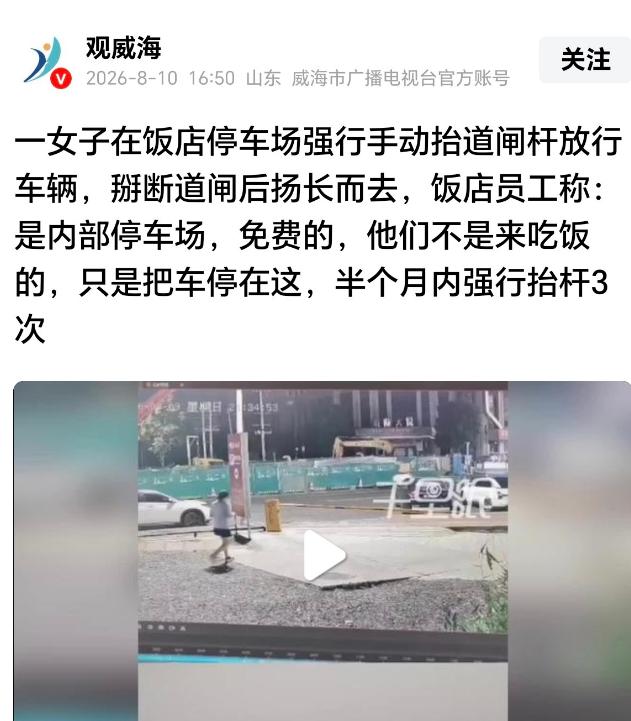 “太坏了！”8月10日，湖南株洲这起饭店停车场道闸受损的事情引发关注，事情发生在