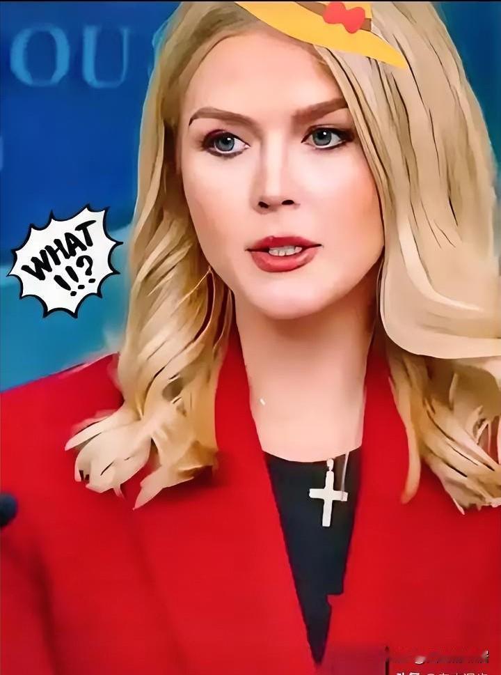 美国白宫消息！11月21日，白宫国家经济委员会主任哈塞特公开承认，持续43