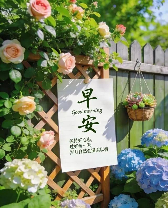 发现了没有，只要你每月有退休金，哪怕到手的是很少的退休金你有没有留意，只要