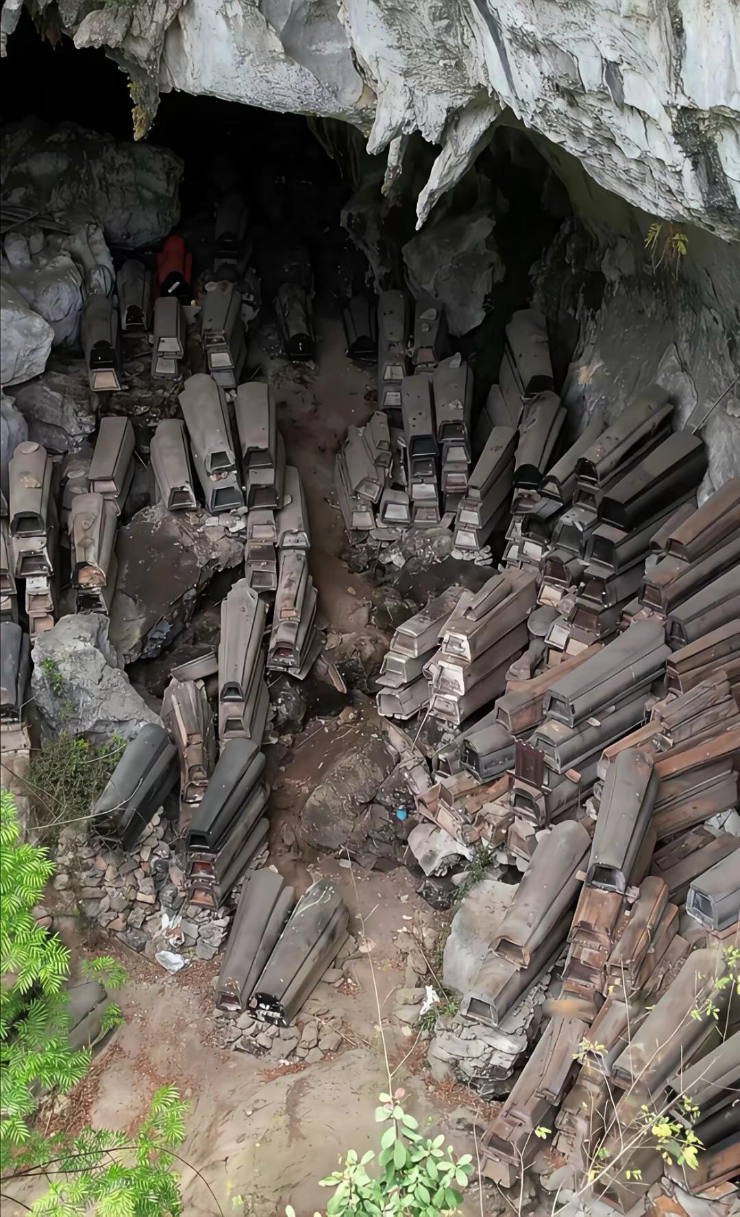 贵州的深山里太多这玩意了。