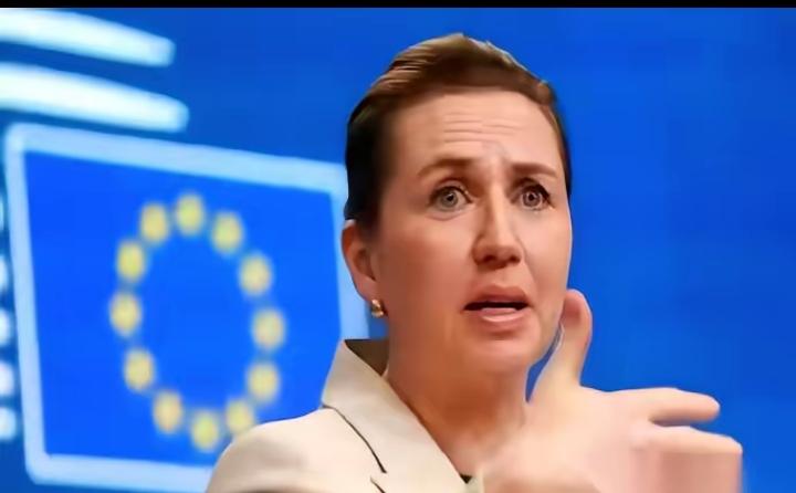 直接掀桌子了。丹麦首相，一个女的，对着全世界放话：美国你要是敢动格陵兰岛，我们