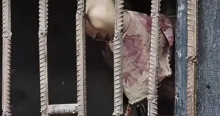 美国为中止收养中国儿童急红眼，慈善背后藏基因阴谋