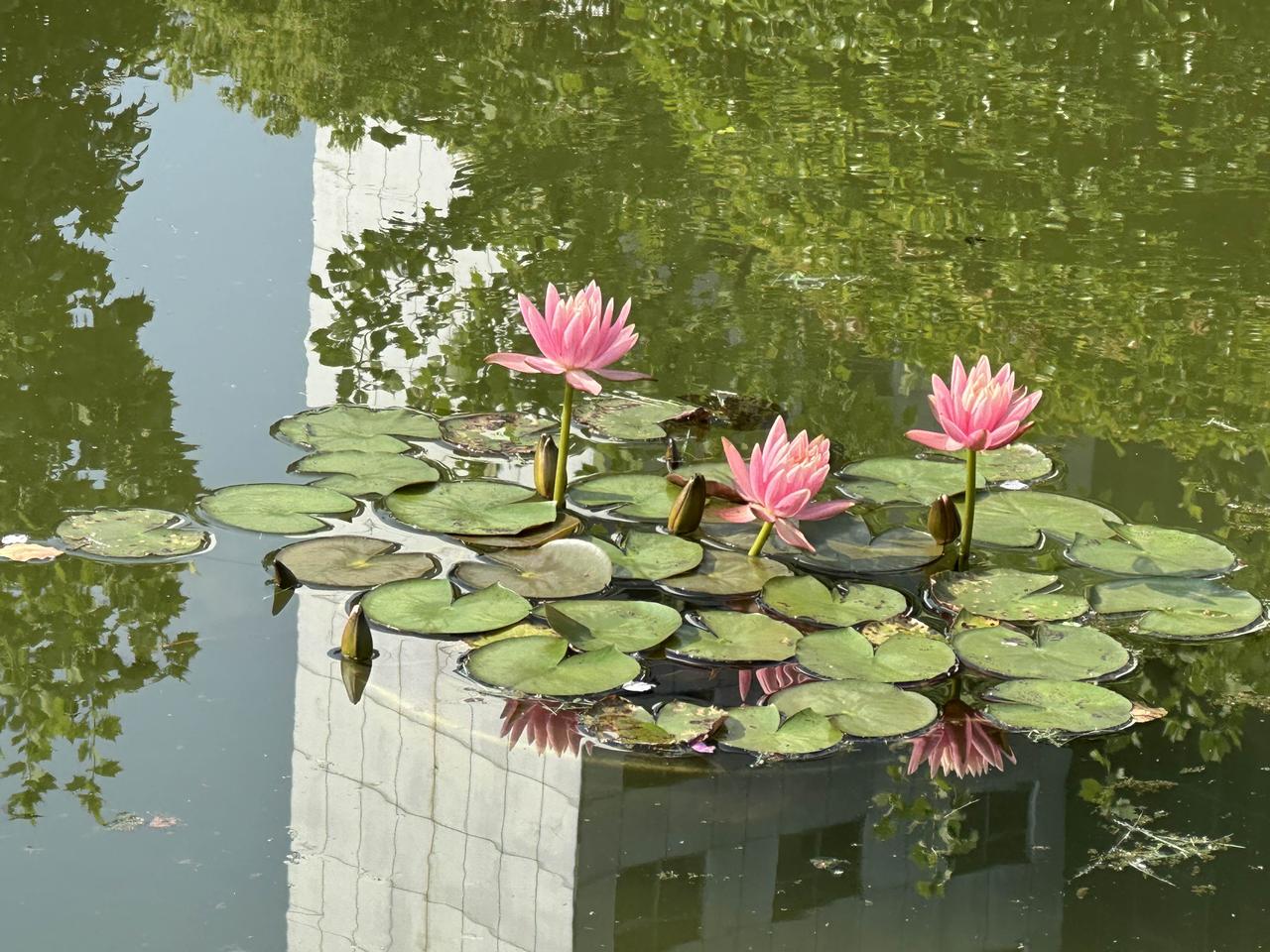 养老金每个月多少钱?今天来说一说江西省机关事业单位退休人员计算过渡性养老金时用