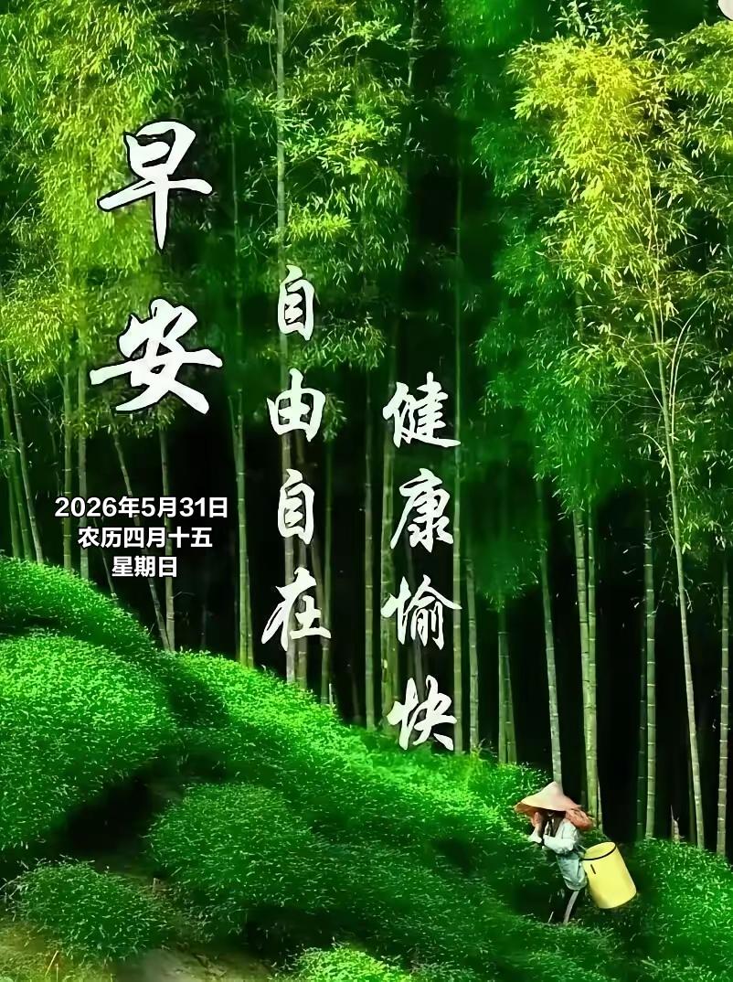 2026年5月31日农历四月十五 星期日 农历四月十五，月圆初夏，清风温婉