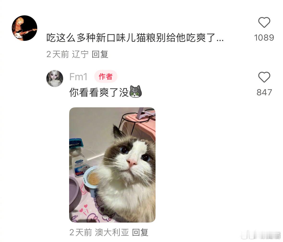 猫实在是太能吃了怎么办全世界最好笑最命苦的评论区。。。。