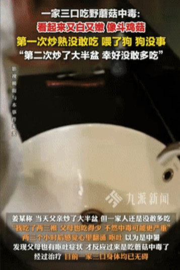“最担心的事还是发生了！”四川遂宁，一男子在地里捡回来一些野生蘑菇，回家炒熟后没