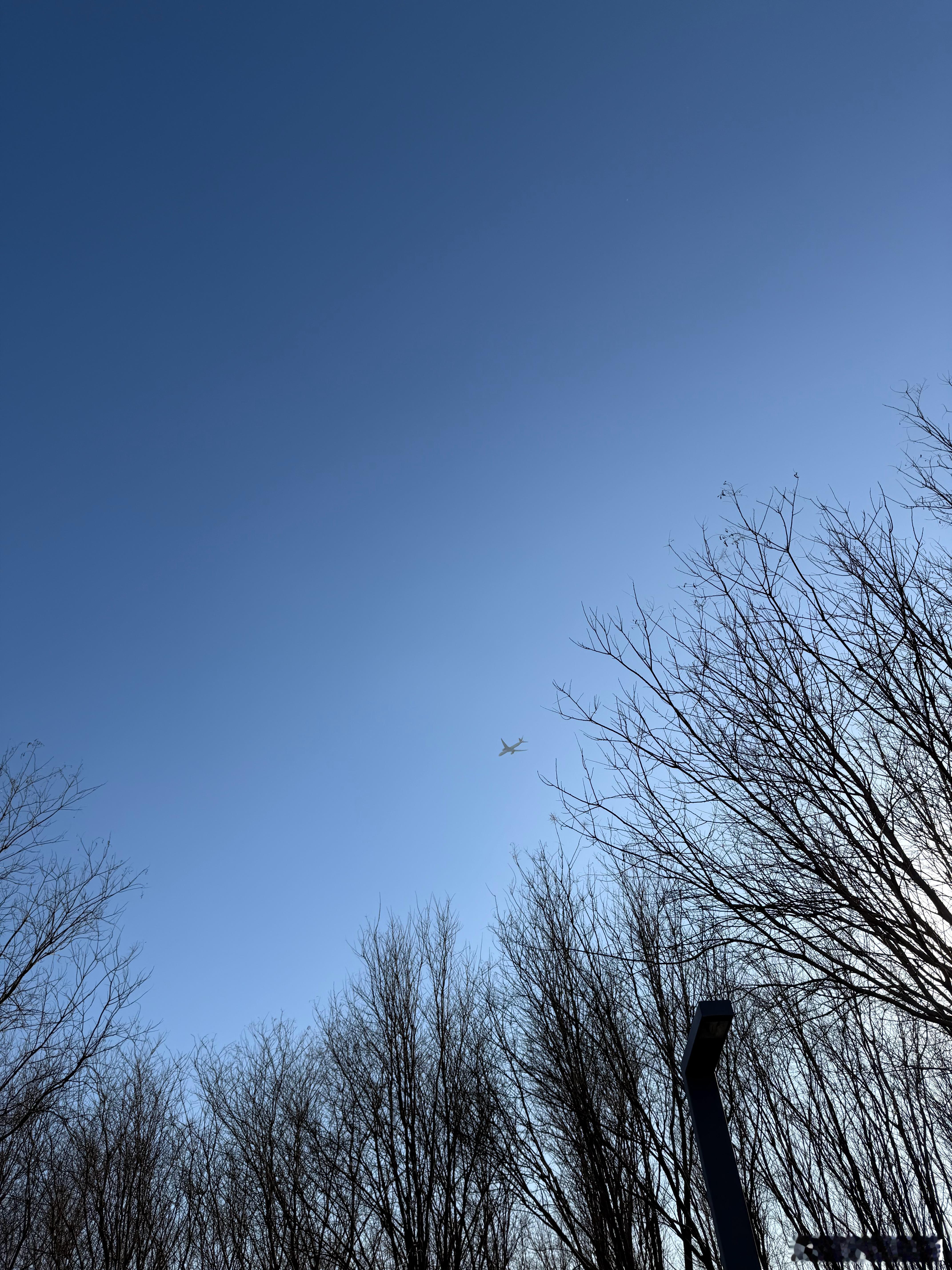 iPhone17ProMax的八倍镜尽力了人+手机就这水平拍照和国产手机是