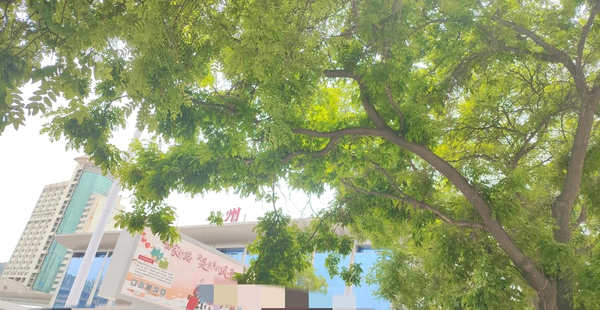 同学小何订婚，男方给15万彩礼，女方父母退回6666，男方却当场闹事！五