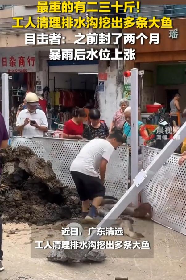 7月20号，广东清远连州，几名市政工人上门干活，本来是去清理堵塞很久的排水沟，疏