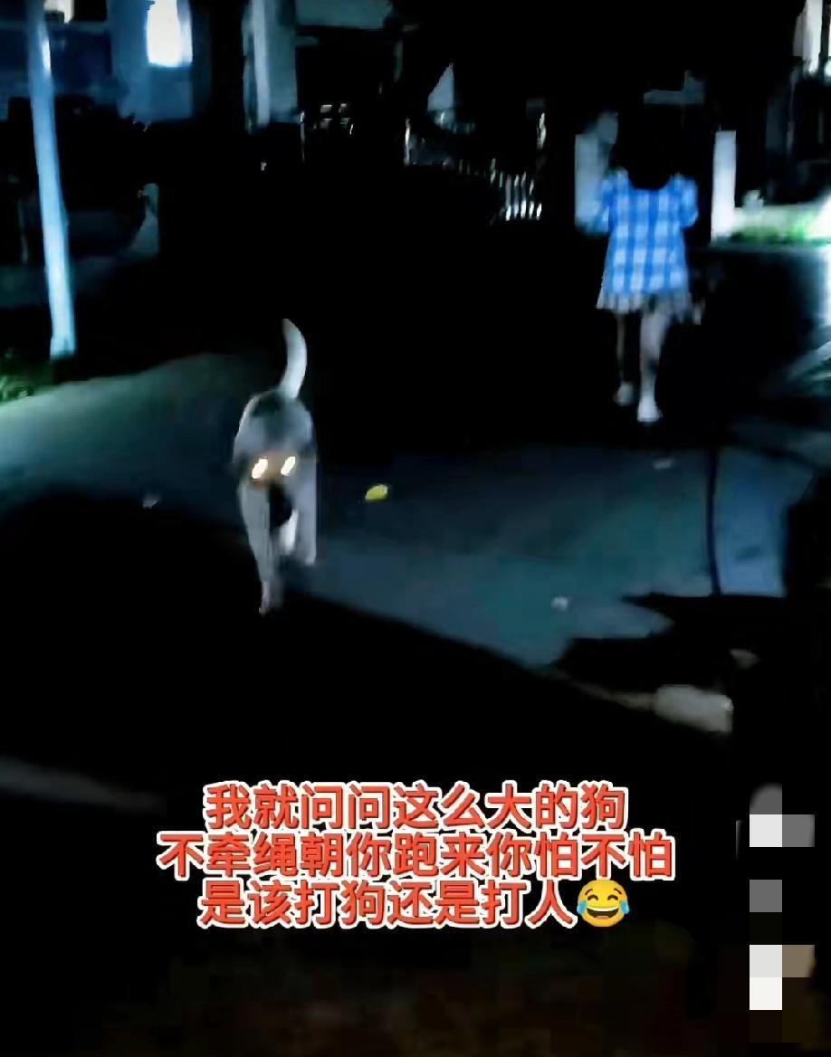 重庆某小区内，女子大晚上遛三条不牵绳的狗狗，其中有一条特别大。这三条狗在小区内乱