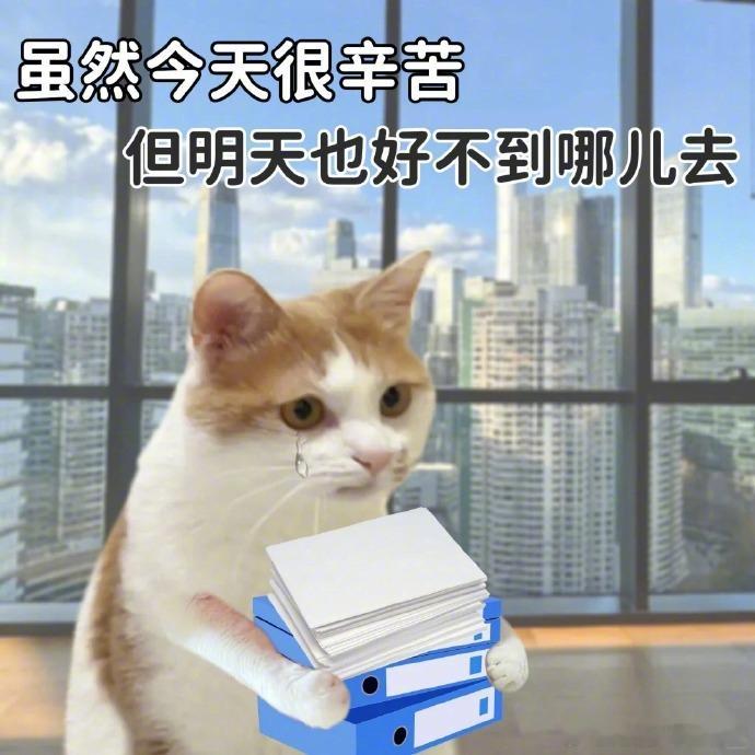 这些打工人表情包显得我命很苦抽象表情包搞笑表情包表情包发疯表情包趣味表情包搞笑幽