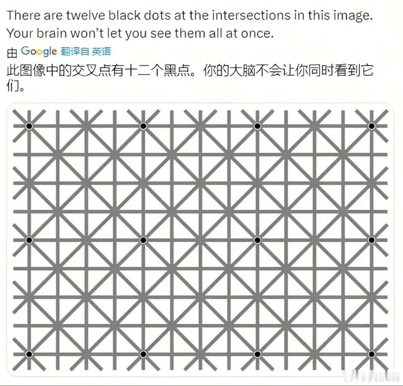 这是一张很神奇的图。此图像中的交叉点有十二个黑点，但你的大脑不会让你同时看到它们