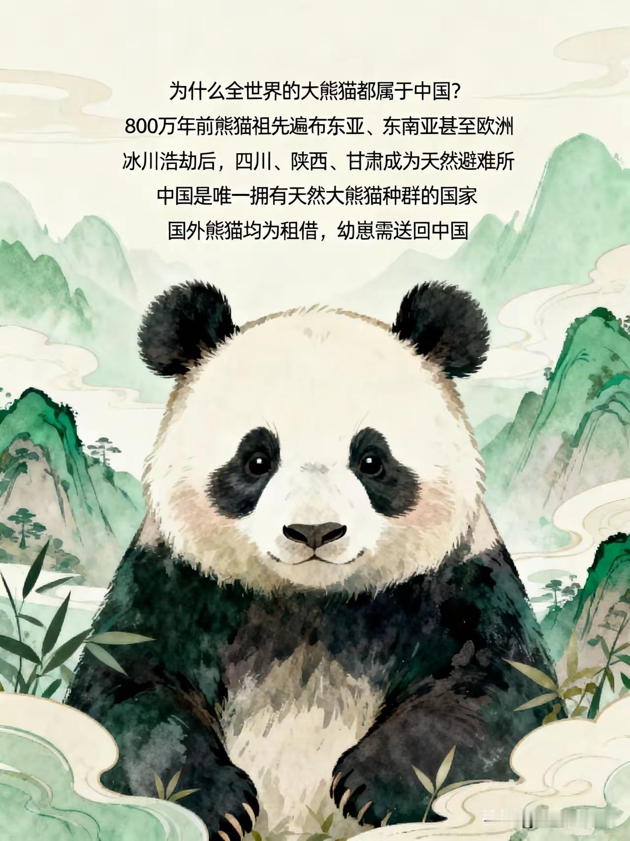 为什么全世界的大熊猫，都属于中国？因为800万年前，熊猫的祖先曾遍布整个东亚、