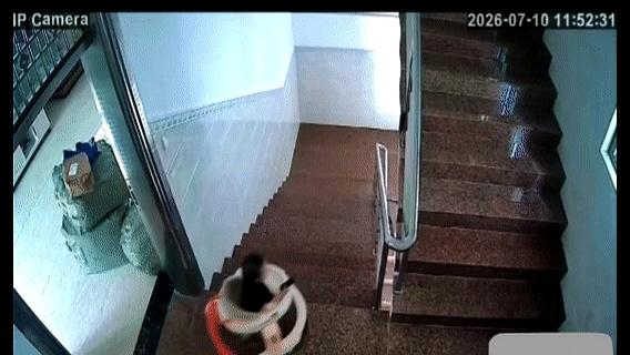 家里两个大人守着，居然能让才一岁多的孩子从那么高的楼梯滚下去，这得是多大的疏忽啊