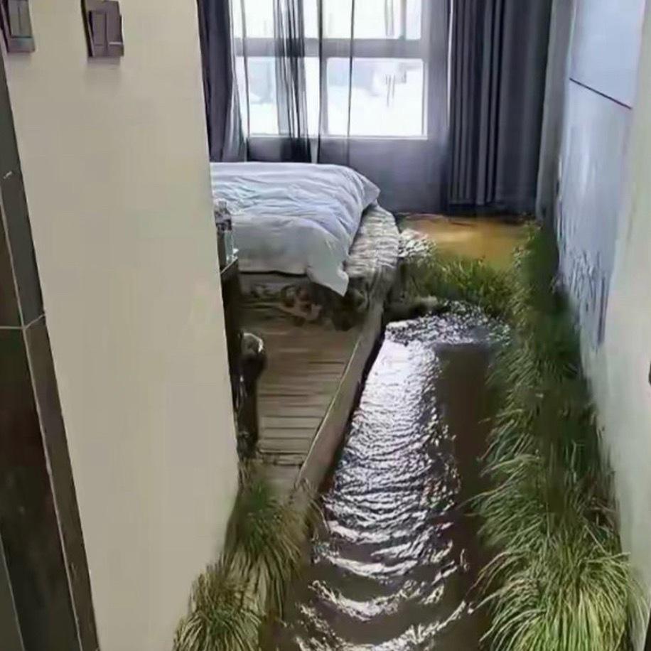 这种民宿免费我都不敢住得有蛇吧