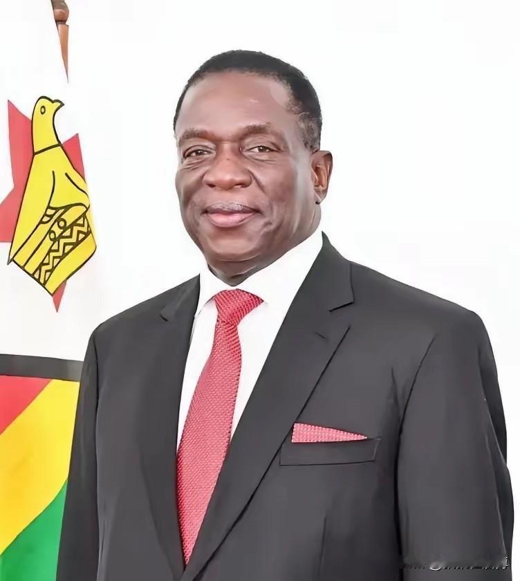 前脚巴拿马不顾中方反对，强行接管了巴拿马港口，后脚津巴布韦突然宣布暂停锂矿出口，